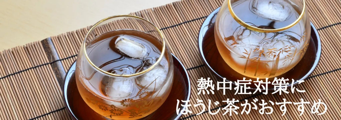 【日本茶コラム】熱中症対策にほうじ茶がおすすめ
