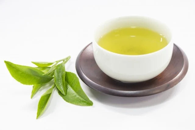 【日本茶コラム】九州地方の日本茶~そのぎ茶~