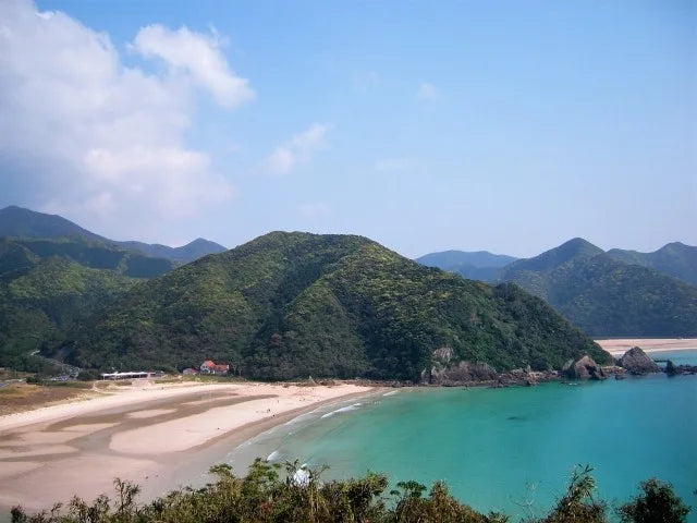 【日本茶コラム】九州地方の日本茶~五島茶~