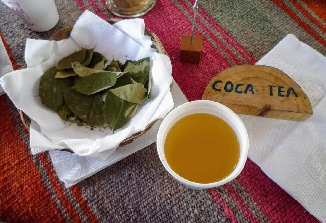【日本茶コラム】世界のお茶 ~ペルー・ボリビア編~ コカ茶