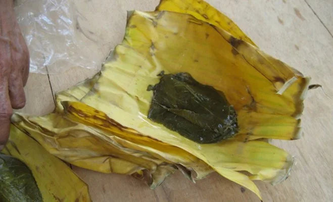 【日本茶コラム】世界のお茶 ~タイ編~ ミアン