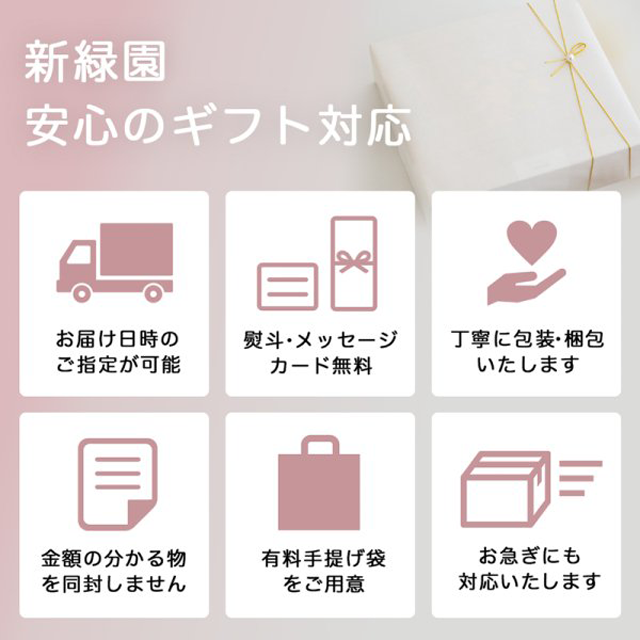 【ギフト】急須で淹れたみたいに美味しい煎茶ティーバッグ(2本入り)