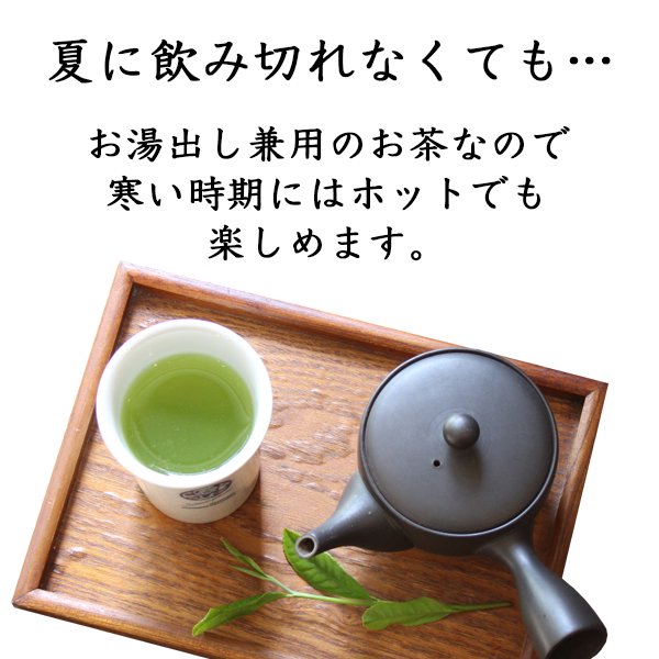 【TB】緑茶ティーバッグ(5g×20p)【TP5】(お湯・水出し兼用)