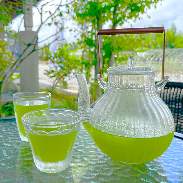 【MS22】特撰煎茶100g 特撰水出し茶ティーバッグ5g×20p