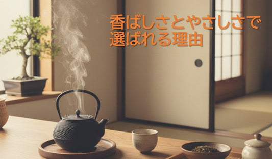 【日本茶コラム】新緑園のほうじ茶　香ばしさとやさしさで選ばれる理由
