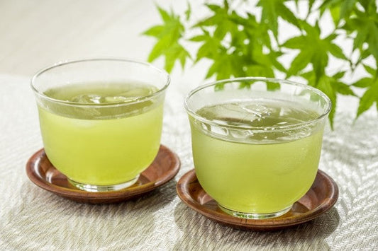 【日本茶コラム】夏こそ楽しみたい！日本茶の涼やかな味わい