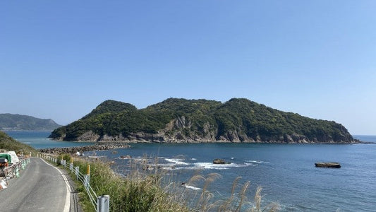 【日本茶コラム】隠れた銘茶・宮崎茶 通販で味わう、美味しい日本茶の魅力