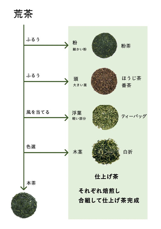 【日本茶コラム】葉と茎の意外な関係