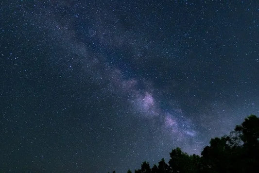 【日本茶コラム】九州地方の日本茶～星野玉露～