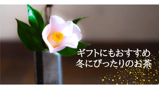 【日本茶コラム】ギフトにもおすすめ　冬にぴったりのお茶