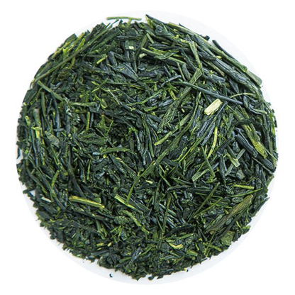 特撰煎茶100g【SN11】